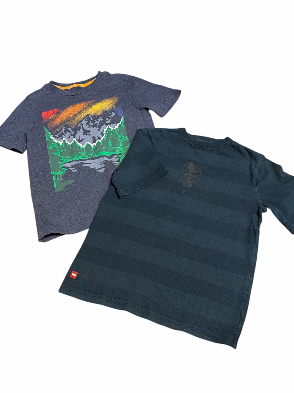 Pair of Tommy Bahama & Tony Hawk T